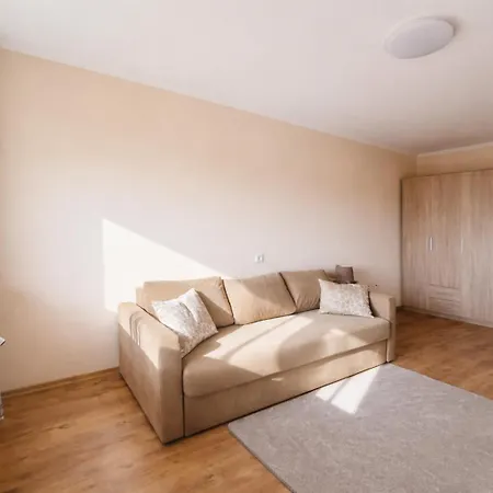 Apartman 1 Bedroom Kauno G