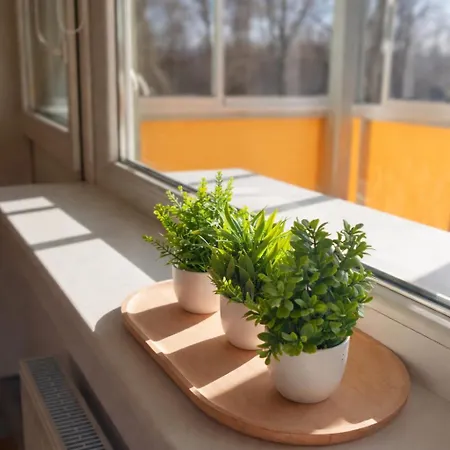 Apartman 1 Bedroom Kauno G *