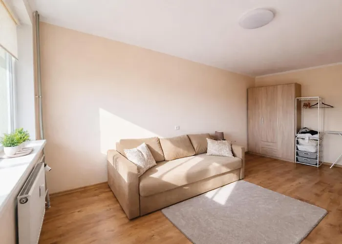 Apartamento 1 Bedroom Kauno G