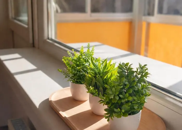 Apartamento 1 Bedroom Kauno G *